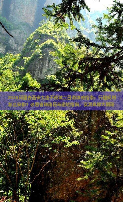 阿里去西安大唐不夜城二日游