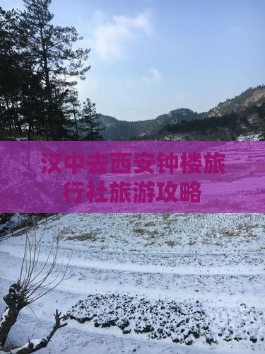 汉中去西安钟楼旅行社