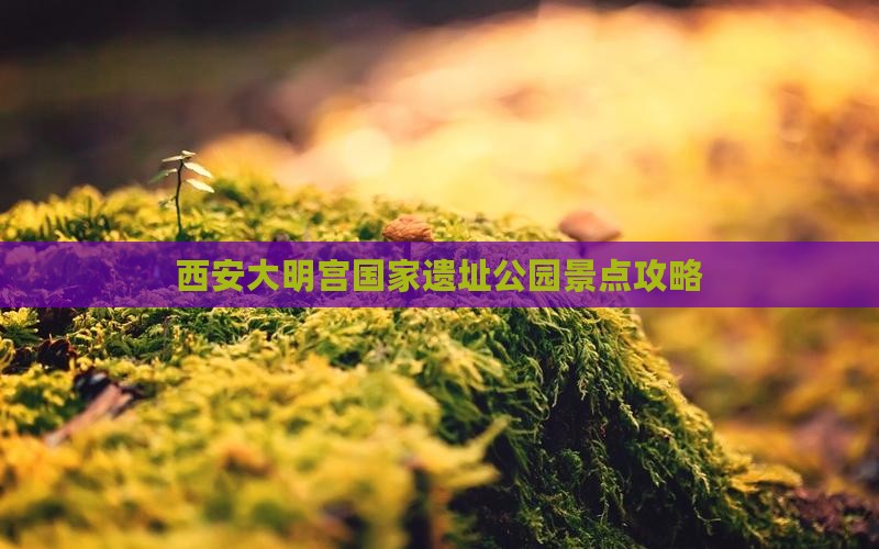 黄石到西安大明宫国家遗址公园景点
