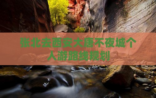 张北去西安大唐不夜城个人游