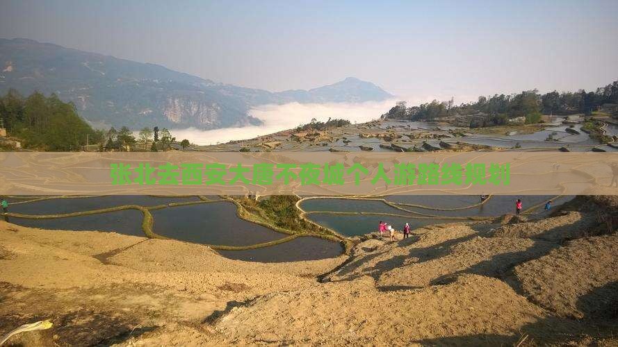 张北去西安大唐不夜城个人游