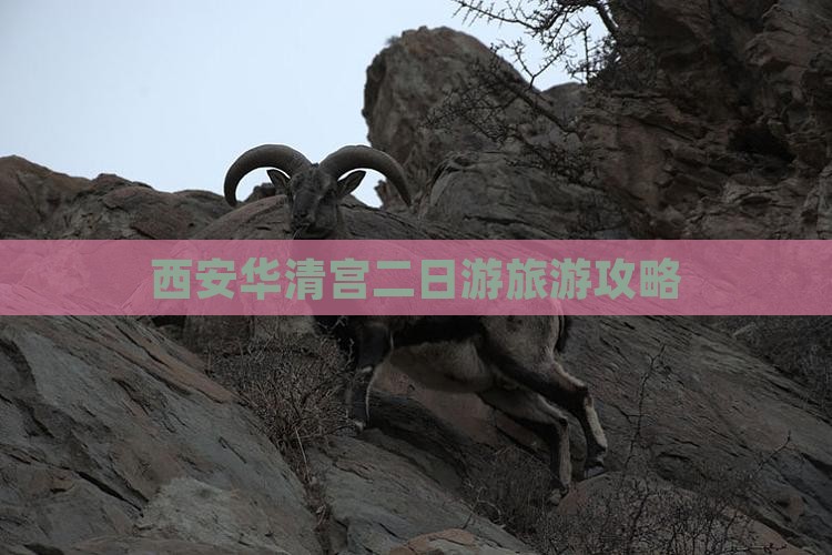 永州到西安华清宫二日游