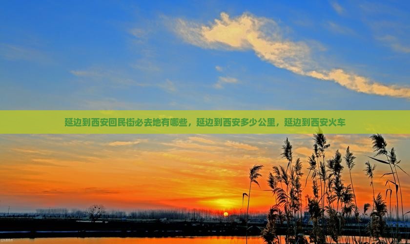 延边到西安回民街必去地