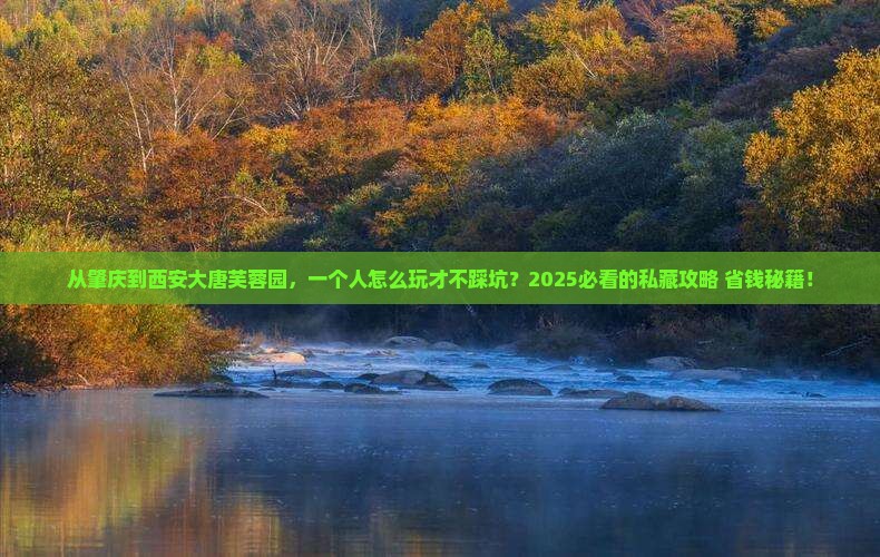 肇庆去西安大唐芙蓉园个人游