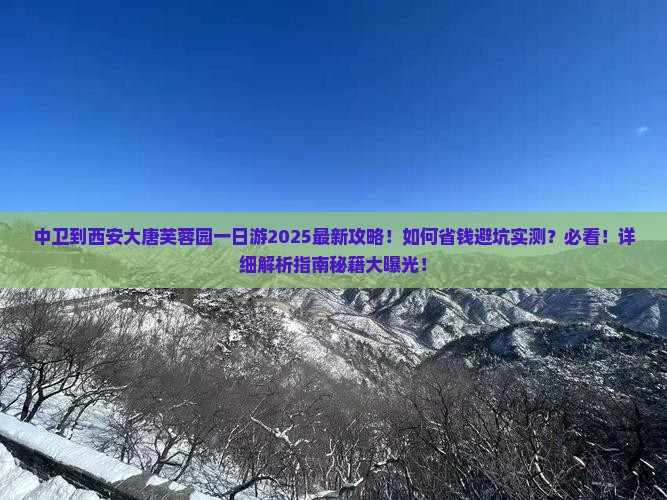 中卫到西安大唐芙蓉园一日游