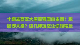 十堰去西安大唐芙蓉园自由团