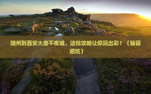 随州到西安大唐不夜城旅行社