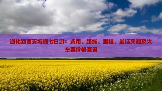通化到西安城墙七日游