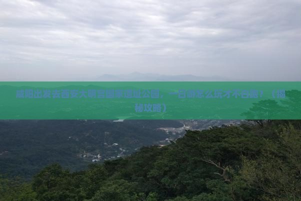 咸阳去西安大明宫国家遗址公园一日游