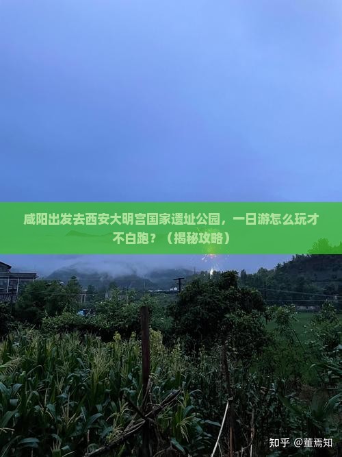 咸阳去西安大明宫国家遗址公园一日游