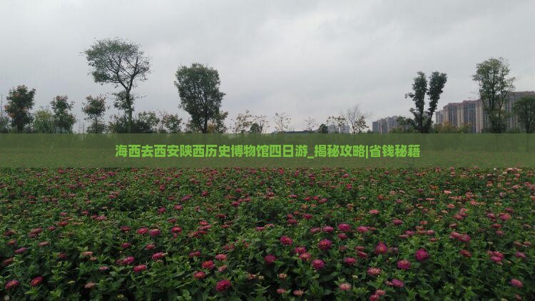 海西去西安陕西历史博物馆四日游