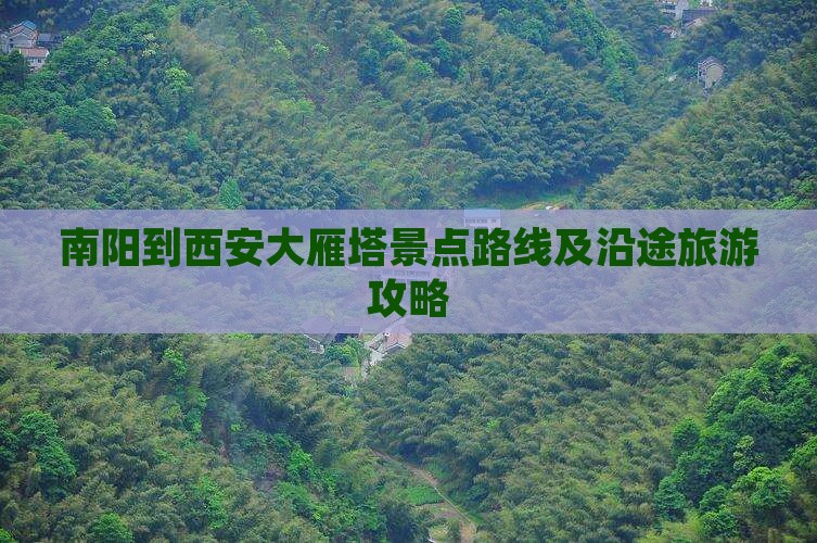 南阳到西安大雁塔景点