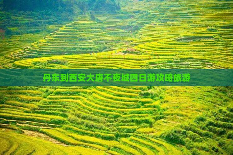 丹东到西安大唐不夜城四日游