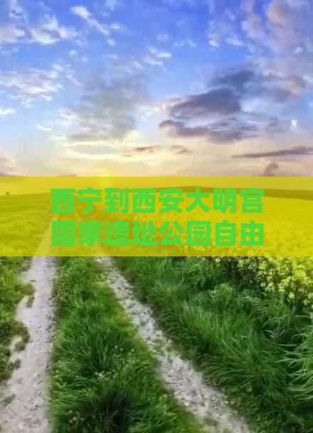 西宁到西安大明宫国家遗址公园自由行