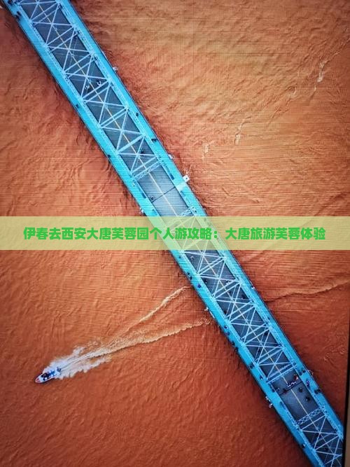 伊春去西安大唐芙蓉园个人游 伊春去西安大唐芙蓉园个人游
