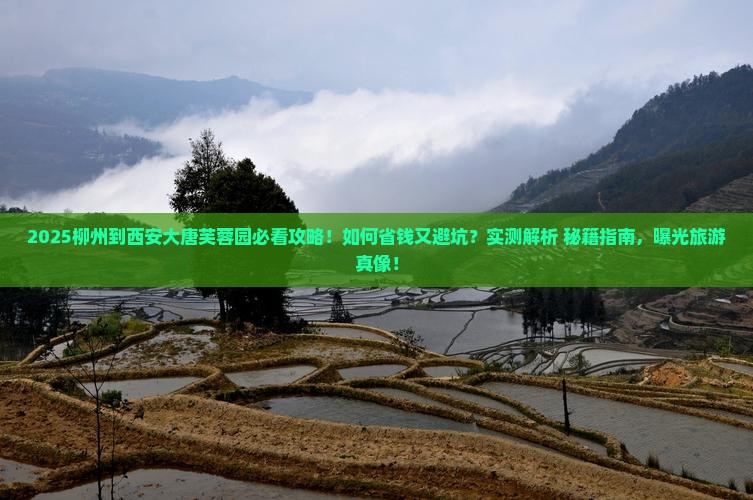柳州到西安大唐芙蓉园旅游