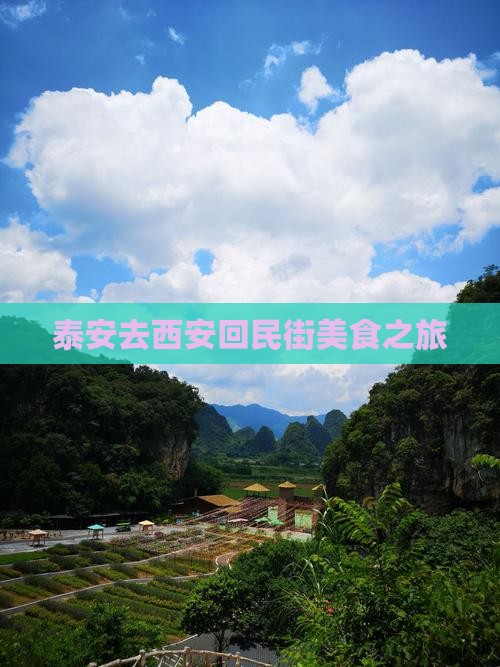 泰安去西安回民街旅游小吃