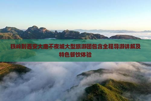铁岭到西安大唐不夜城大型旅游团
