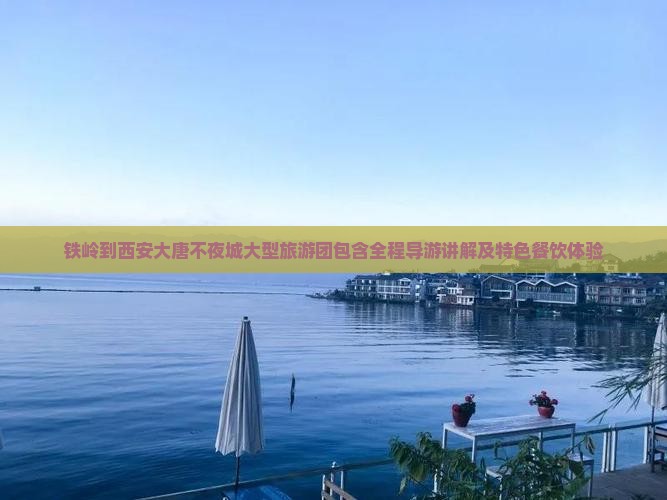 铁岭到西安大唐不夜城大型旅游团