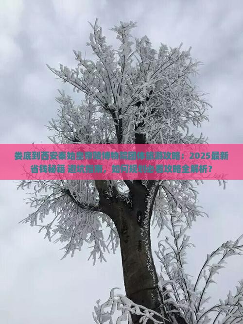 娄底到西安秦始皇帝陵博物院团体旅游
