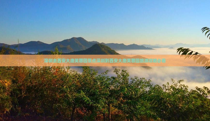 深圳去西安大唐芙蓉园景点