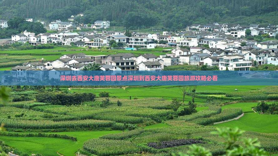 深圳去西安大唐芙蓉园景点