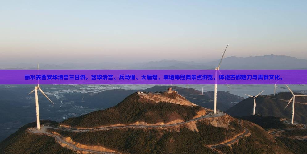 丽水去西安华清宫三日游