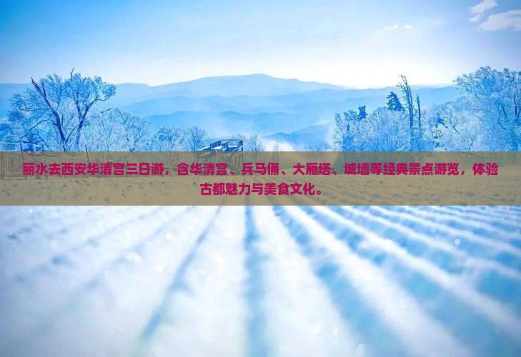 丽水去西安华清宫三日游