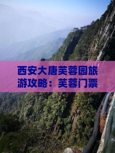 陇南去西安大唐芙蓉园门票