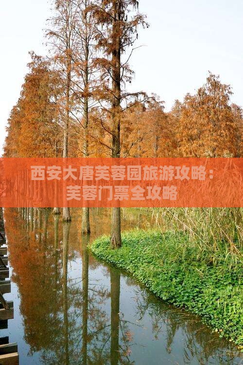 陇南去西安大唐芙蓉园门票