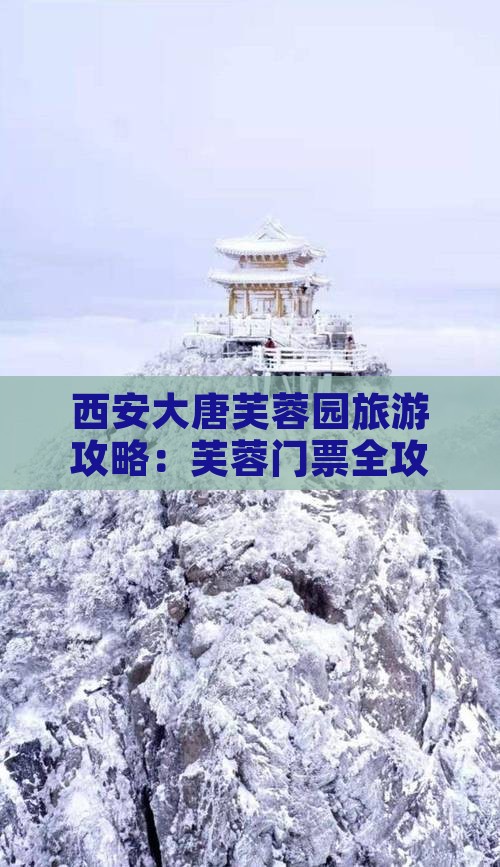 陇南去西安大唐芙蓉园门票