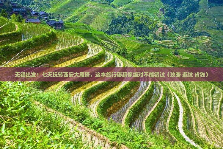 无锡去西安大雁塔七日游