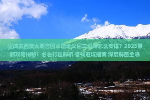 宣城去西安大明宫国家遗址公园三日游