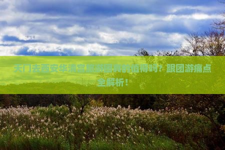 天门去西安华清宫大型旅游团