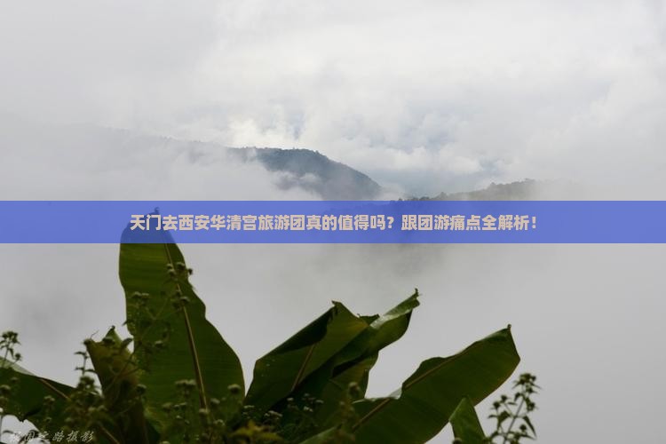 天门去西安华清宫大型旅游团