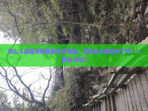 鞍山去西安陕西历史博物馆旅游小吃