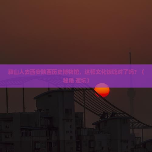 鞍山去西安陕西历史博物馆旅游小吃