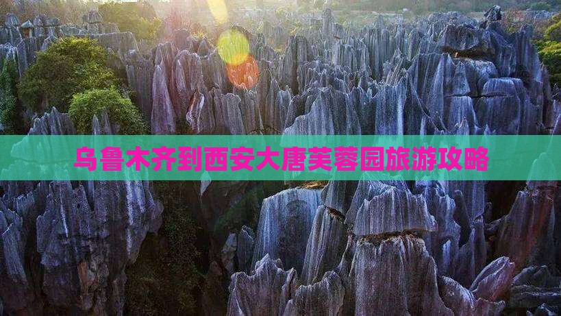 乌鲁木齐到西安大唐芙蓉园旅游