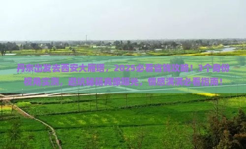 丹东去西安大雁塔景点
