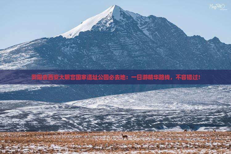 贵阳去西安大明宫国家遗址公园必去地