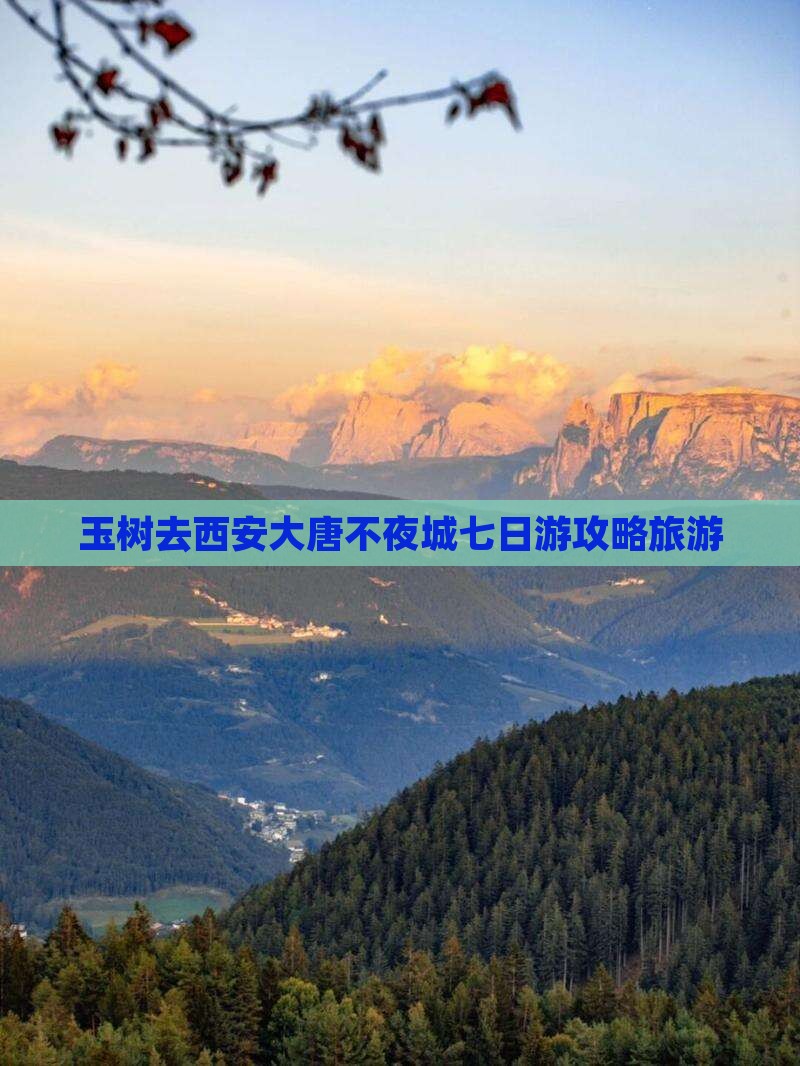 玉树去西安大唐不夜城七日游