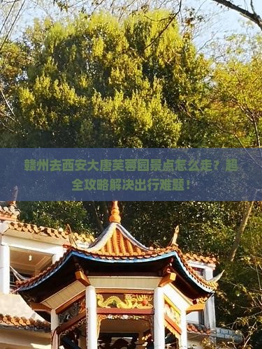赣州去西安大唐芙蓉园景点