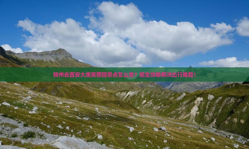 赣州去西安大唐芙蓉园景点
