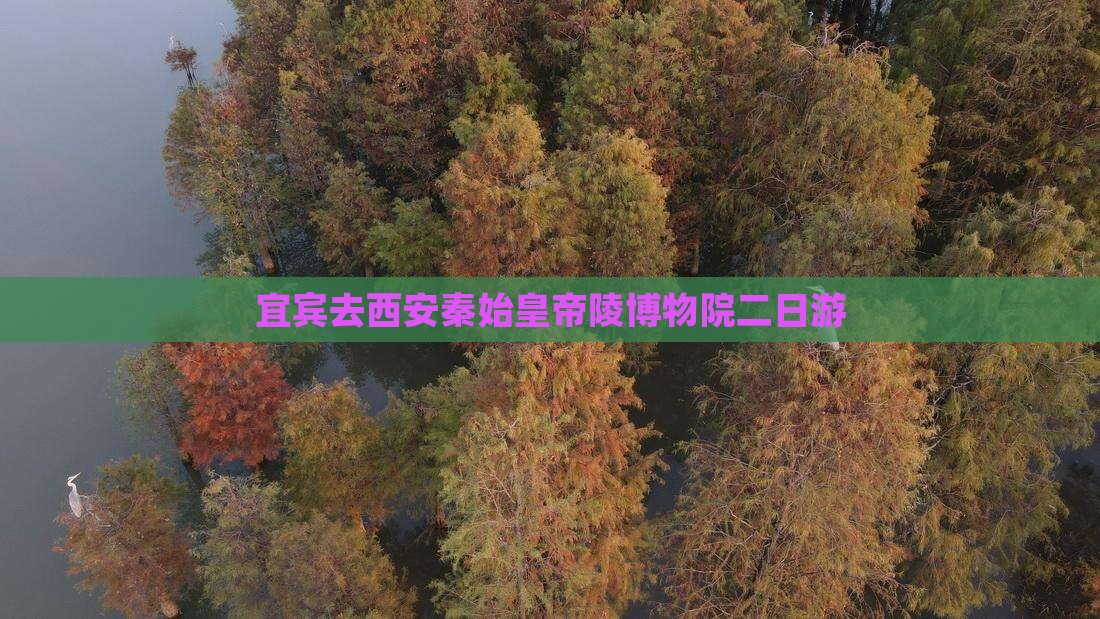 宜宾去西安秦始皇帝陵博物院二日游