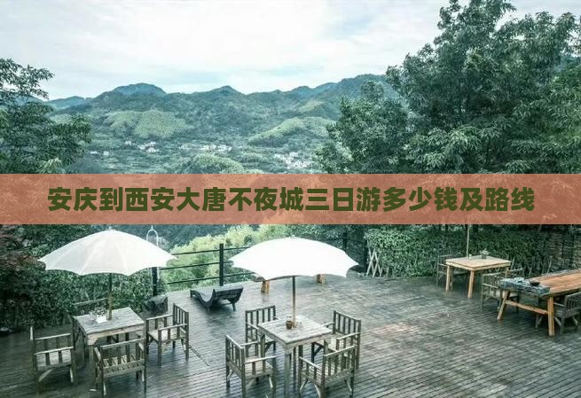 安庆到西安大唐不夜城三日游