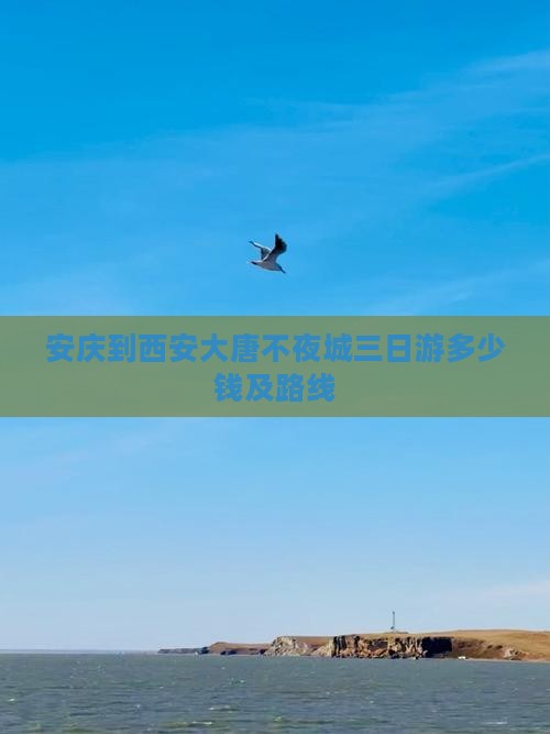 安庆到西安大唐不夜城三日游