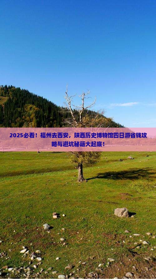福州去西安陕西历史博物馆四日游