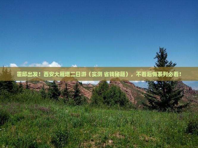 霍邱到西安大雁塔二日游