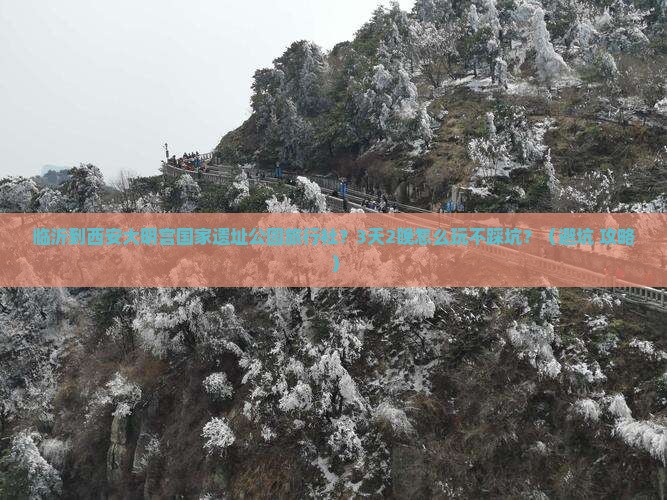 临沂到西安大明宫国家遗址公园旅行社
