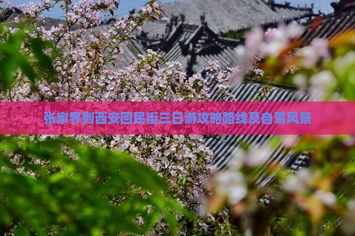 张家界到西安回民街三日游